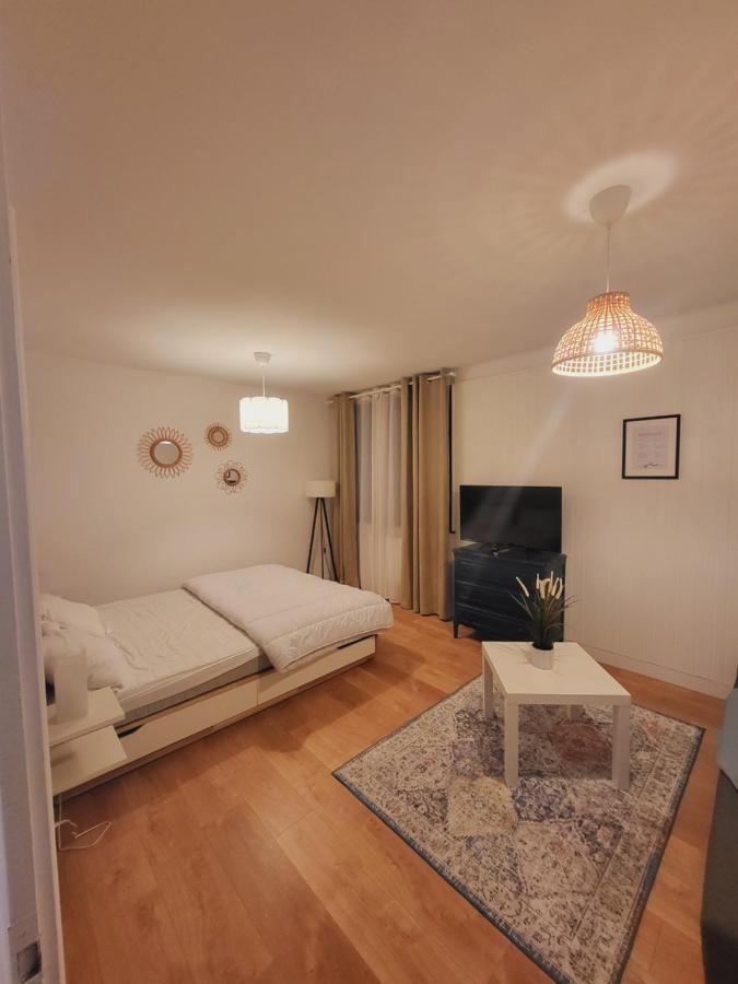Appartement T1 Bis 35M2 Annecy Proche Centre Ville Екстериор снимка